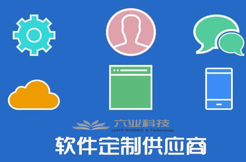 六業(yè)應用軟件開發(fā)全流程解析 從構想到交付